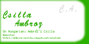 csilla ambroz business card